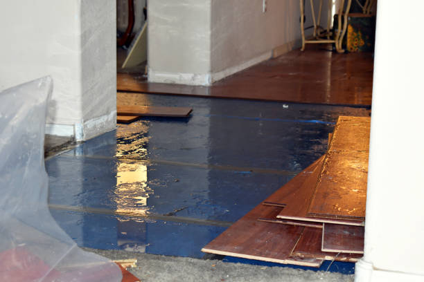 Professional Water Damage Repair technician working in Preston, TX